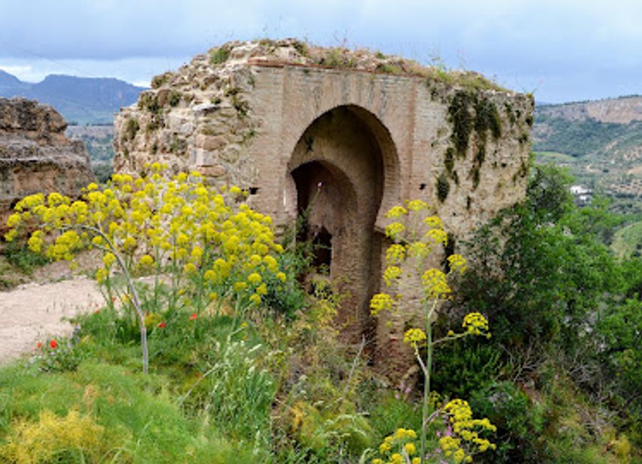 Experience authentic Spanish cuisine in Ronda at Restaurante Casa Luciano – where tradition meets flavor in every dish.