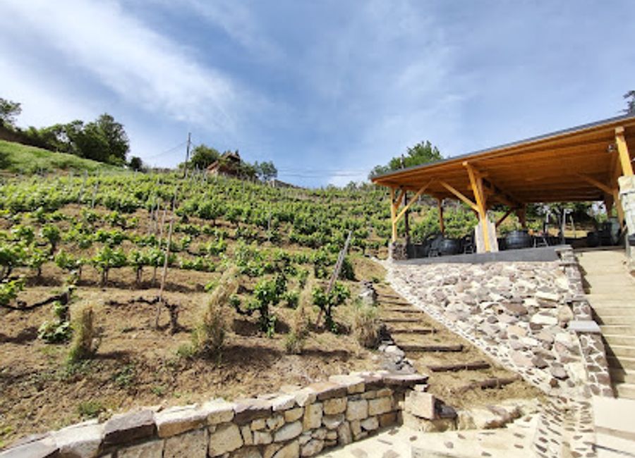 Experience Tokaj's vibrant wine culture at Ungvari's Bistro - your go-to spot for exquisite wines and cocktails.