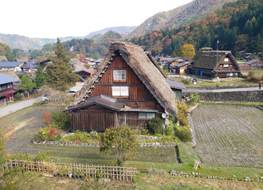 Experience the essence of Japan at Tanaka-ya, where handmade soba noodles meet breathtaking views in Shirakawa-go.