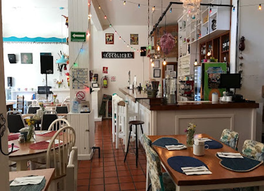 Discover Cocoliche in San Cristóbal de las Casas – where authentic Italian cuisine meets warm Chiapas hospitality.