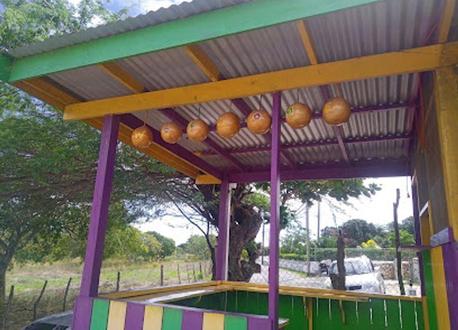 Discover authentic Jamaican cuisine in Treasure Beach at V&J Authentic Cuisine – where local flavors meet warm hospitality.