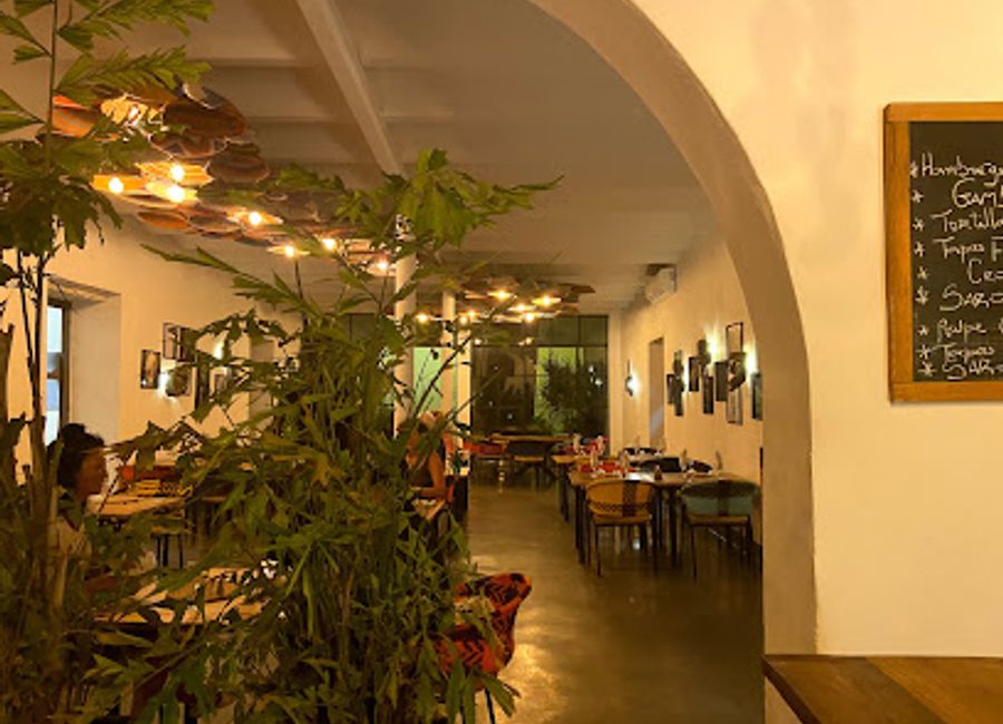 Discover authentic Senegalese cuisine at Siki Rio in St. Louis – where local flavors meet warm hospitality for an unforgettable dining experience.