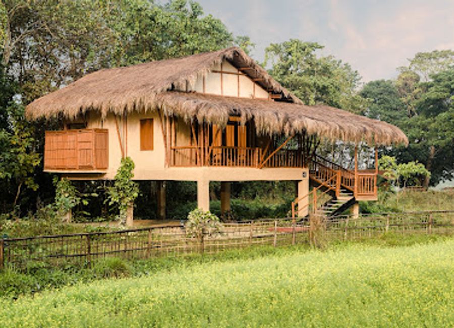 Experience luxury amidst nature at Diphlu River Lodge near Kaziranga National Park – your gateway to Assam's rich wildlife and stunning landscapes.