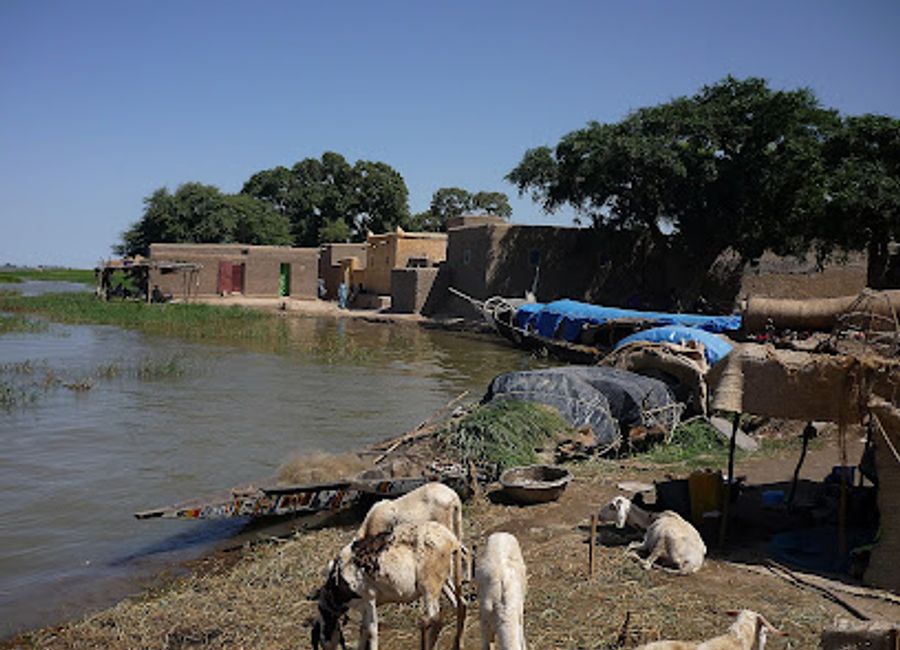 Experience authentic Malian cuisine at Restaurant Bar Bozo in Mopti – where every meal is a celebration of flavors and culture.