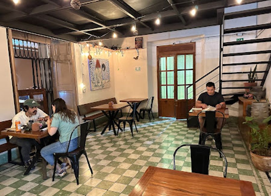 Experience authentic Oaxacan cuisine with a modern twist at Ocote Cocina—a culinary treasure in Oaxaca de Juárez.