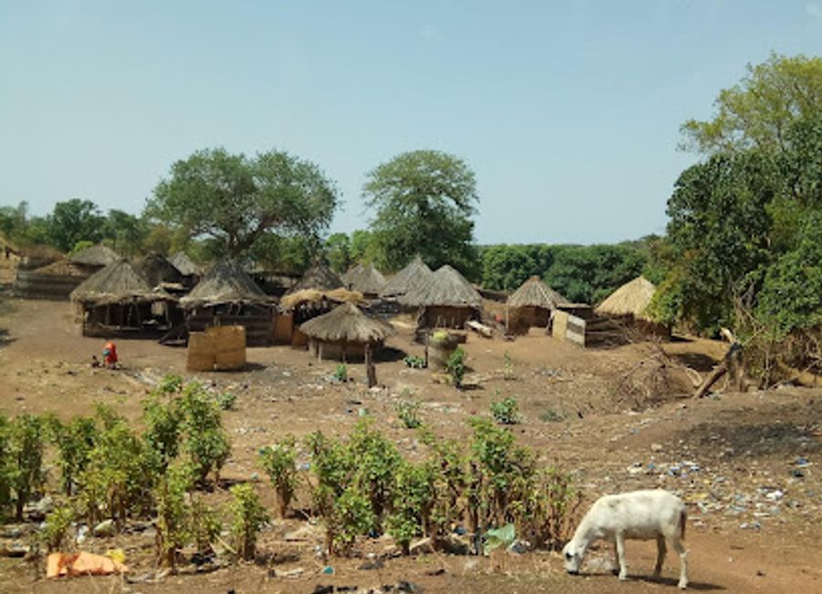 Experience authentic Senegalese cuisine at Sabodala South Restaurant in Sabodala – a must-visit destination for food lovers!