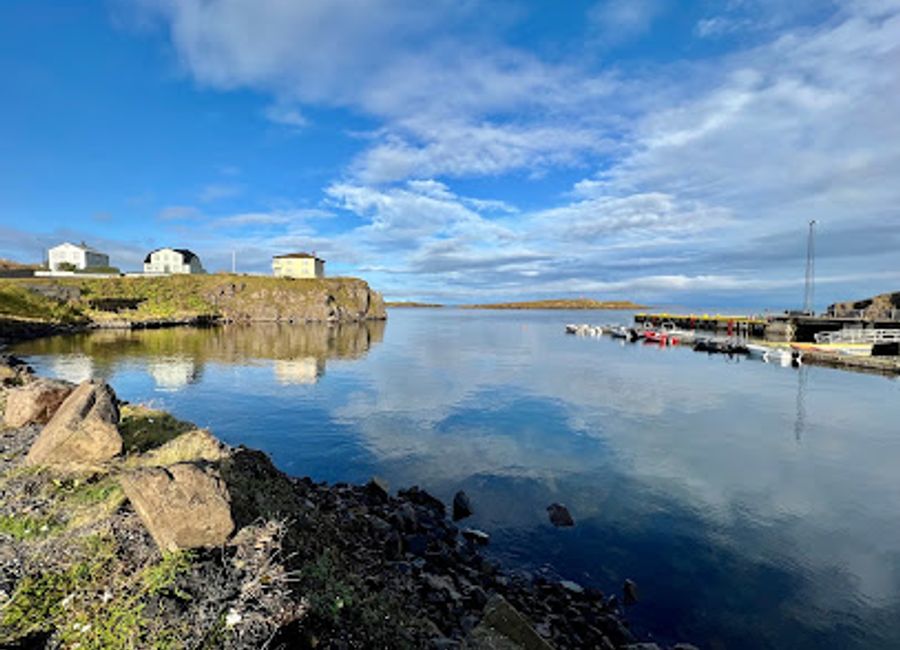 Discover authentic Icelandic cuisine at Hafnarvagninn-Fish & Chips in Stykkishólmur – fresh fish served with stunning coastal views.