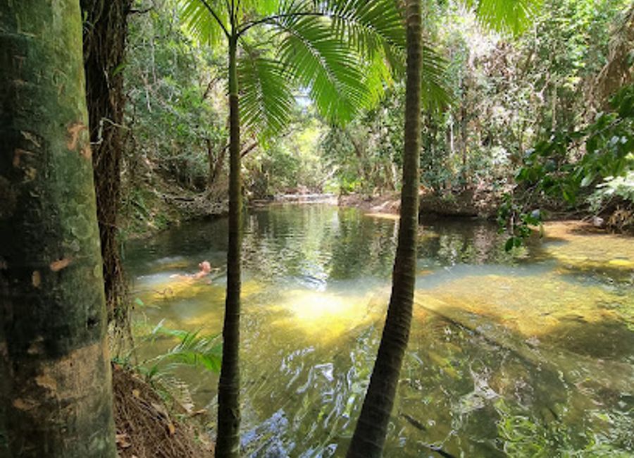 Experience delicious local cuisine at Masons Café in Cape Tribulation—where rainforest meets relaxation.