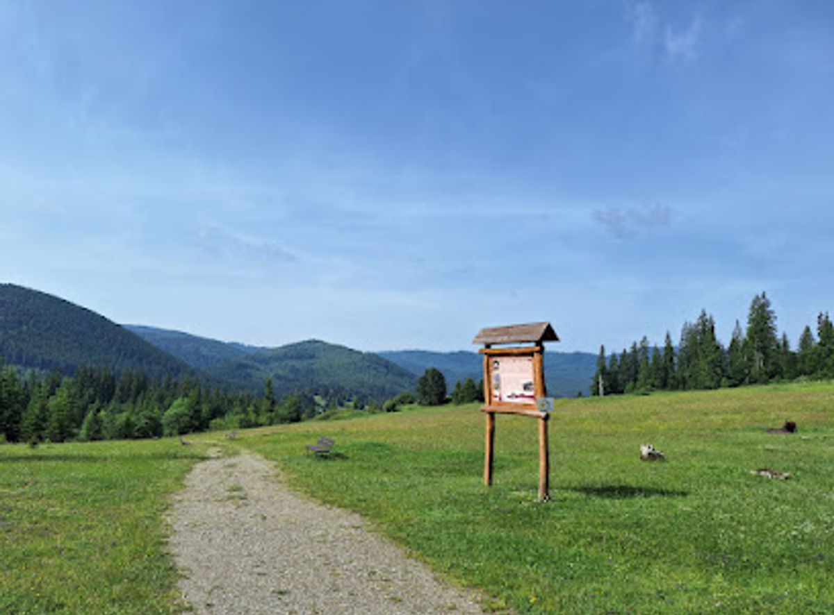 Background