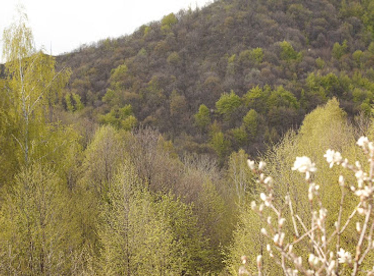 Background