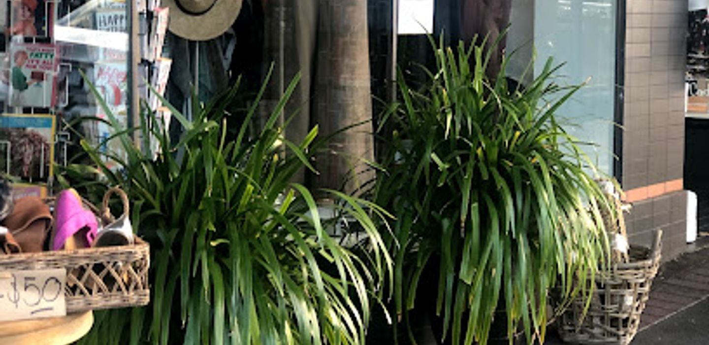 Background