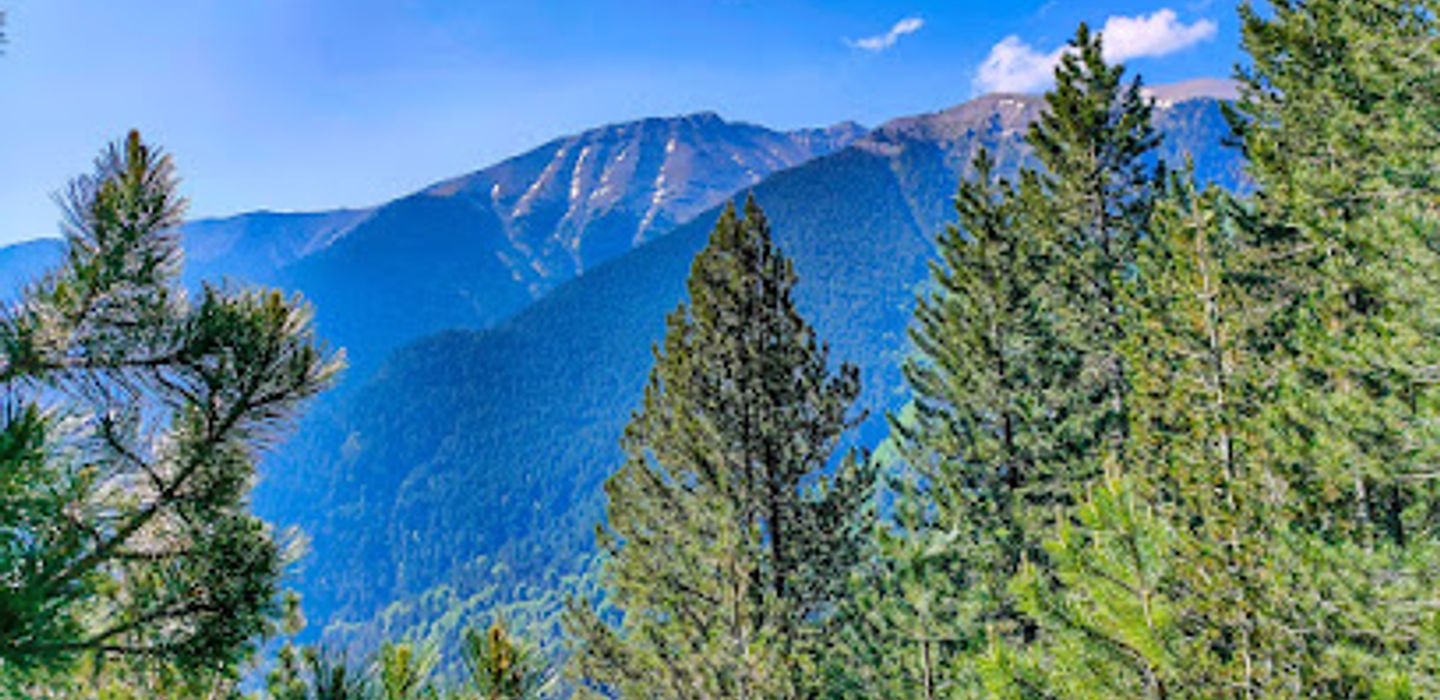 Background