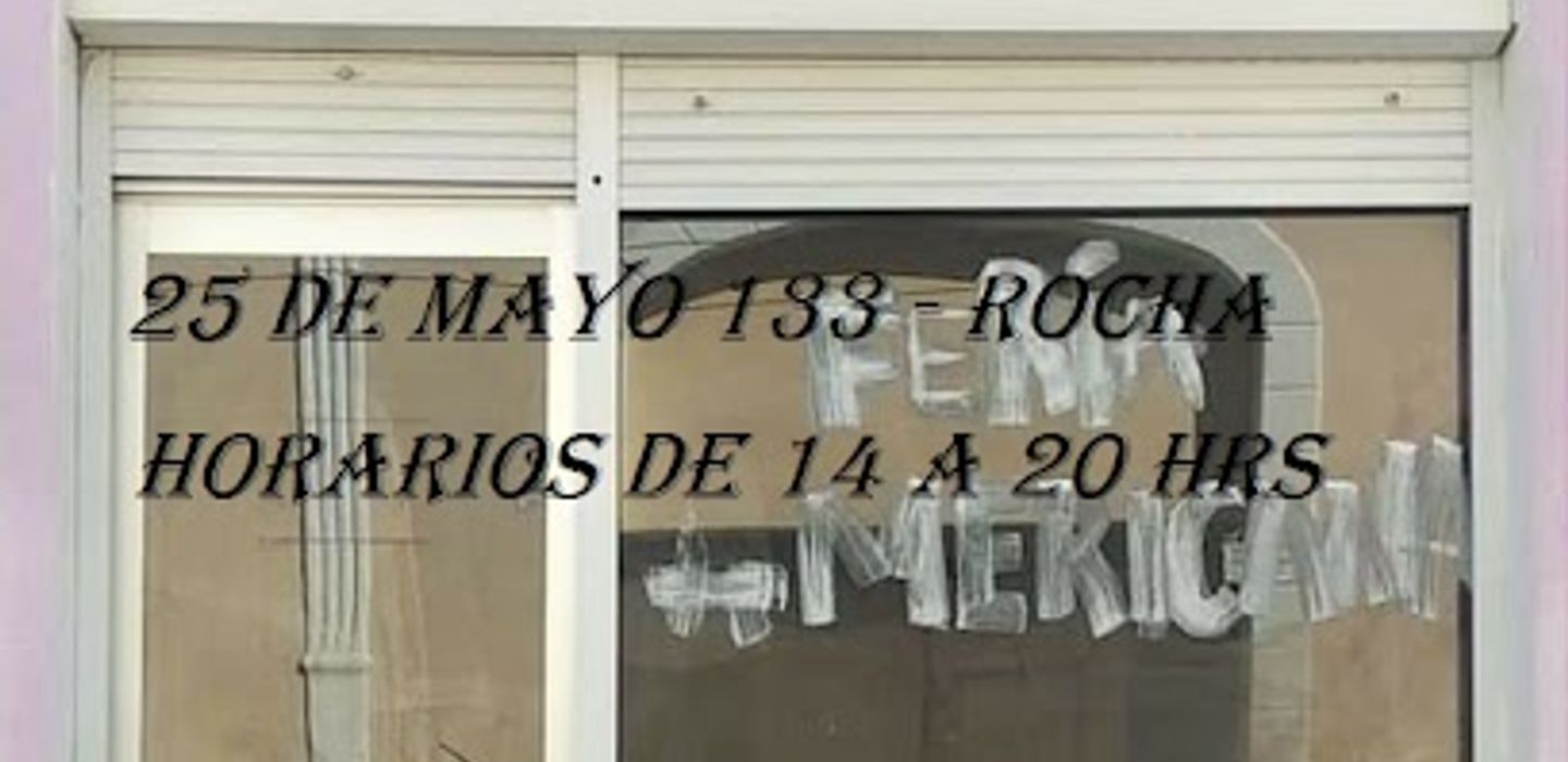 ANDREA COMPLEMENTOS