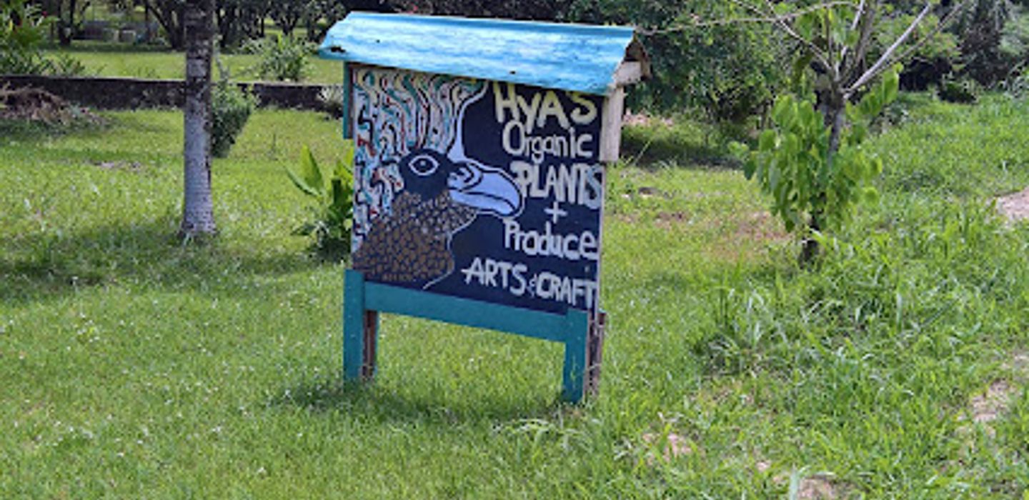 Hya's Organic Shop