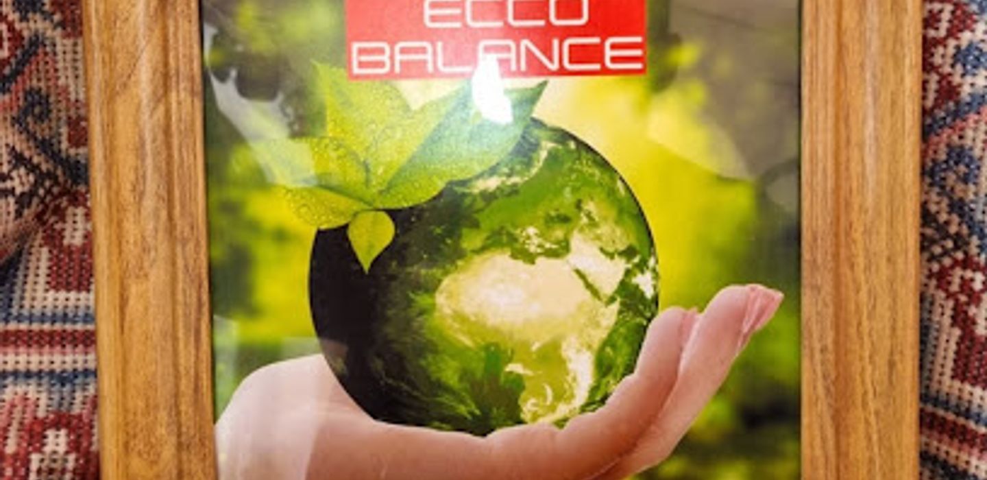 Ecco Balance