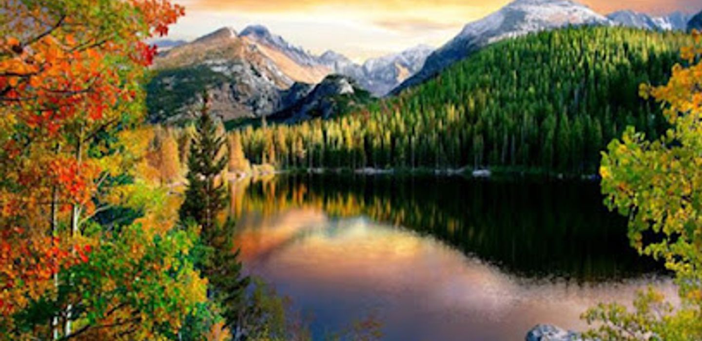 Background