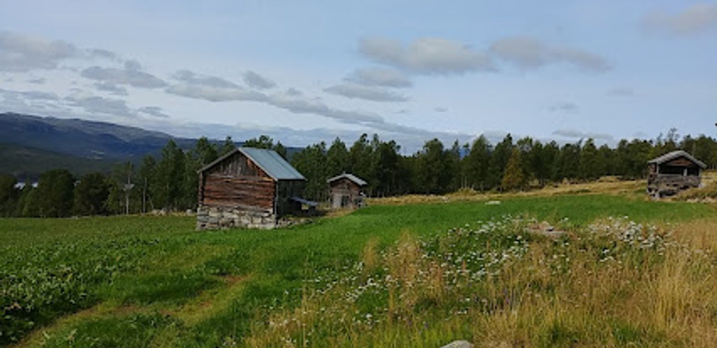Background