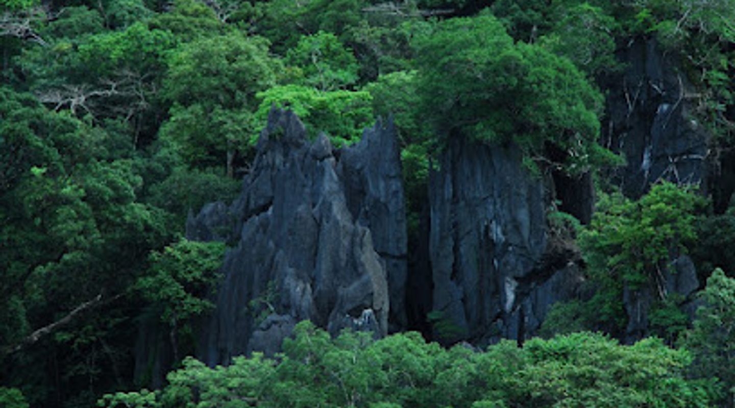 Background