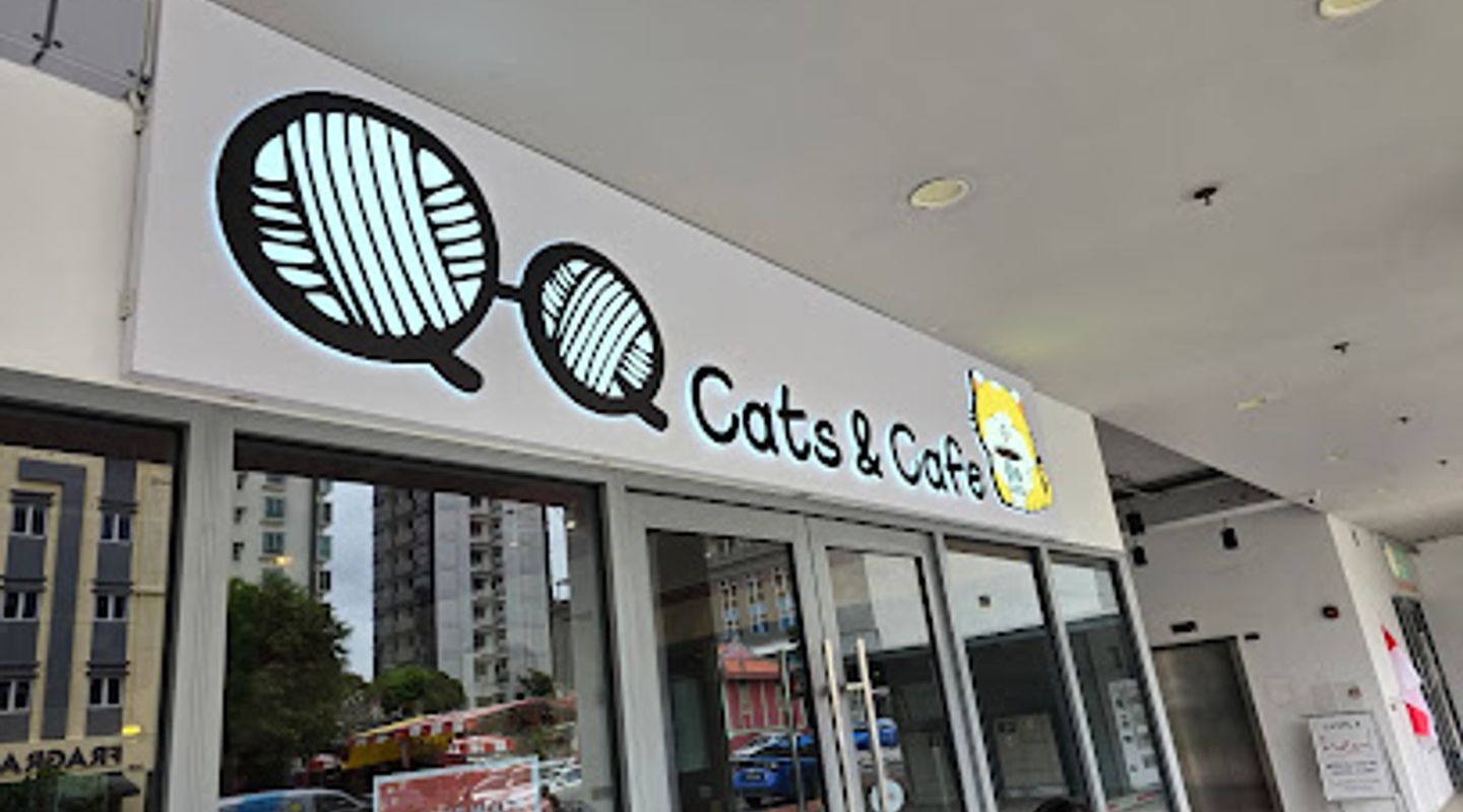 QQ Cats and Cafe
