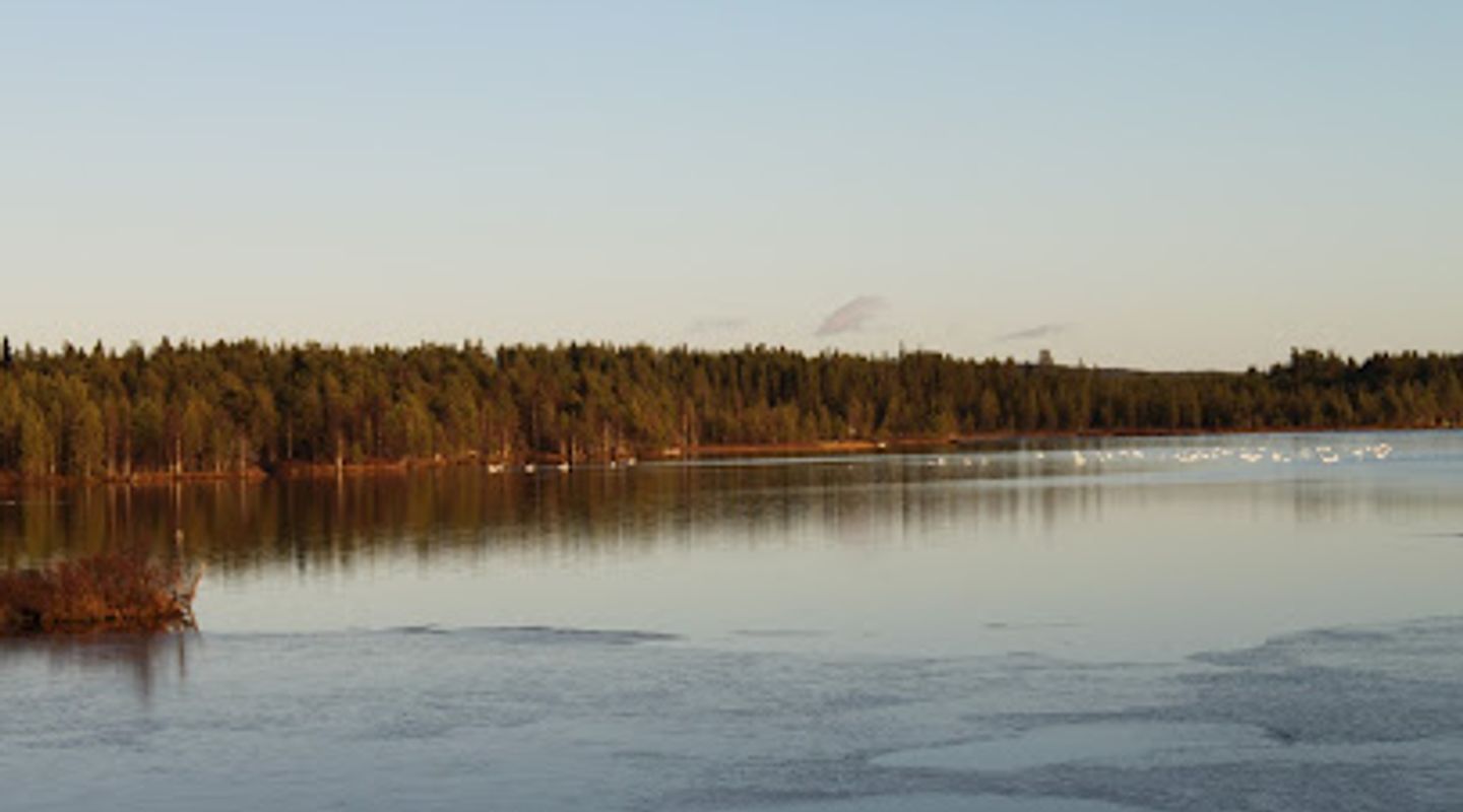 Background