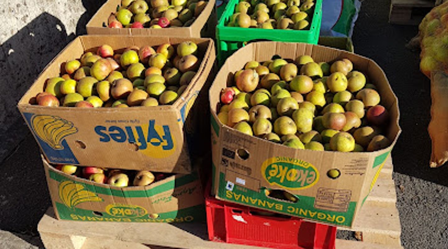 Background