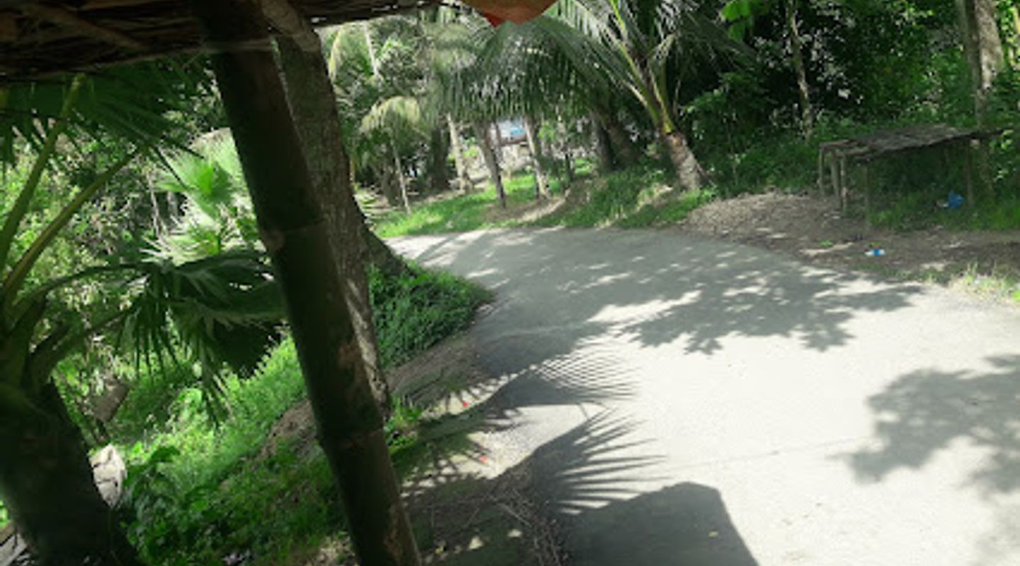 Background