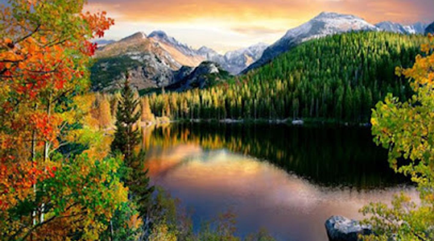 Background