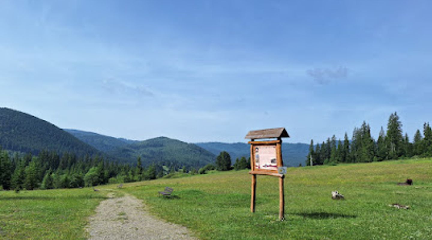Background