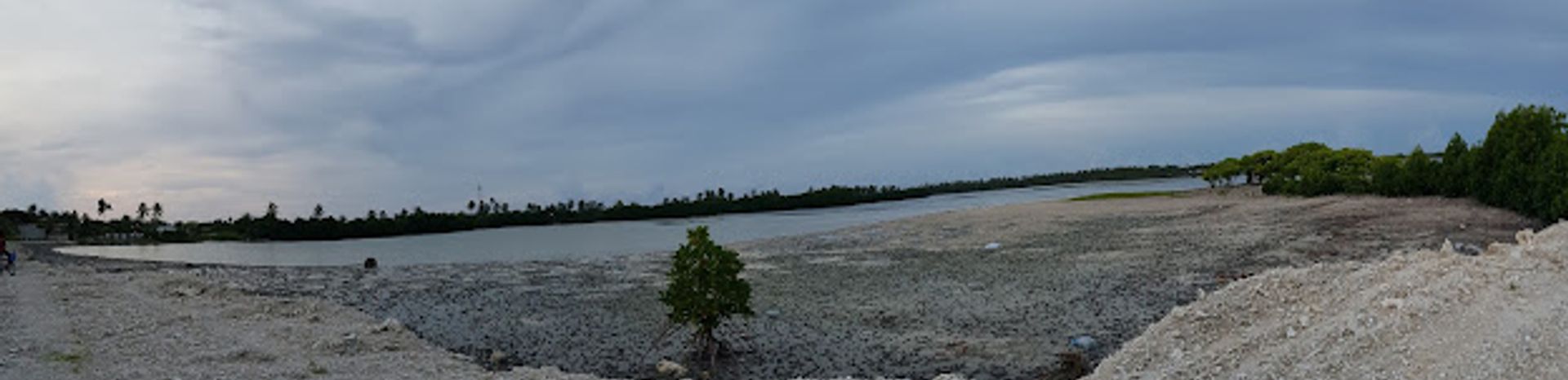 Background
