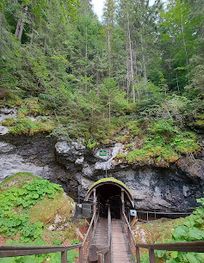 Attraction