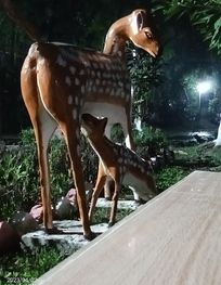 Attraction