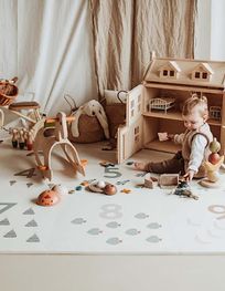 Attraction