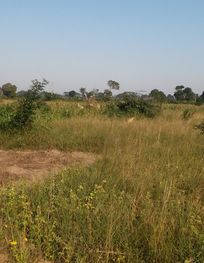 Attraction