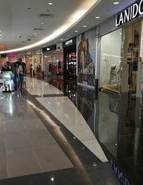 Attraction