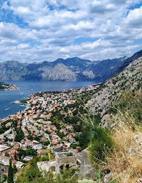 Attraction