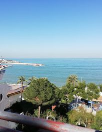 Attraction