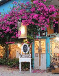 Attraction
