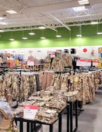 Attraction