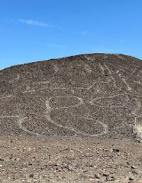 Attraction