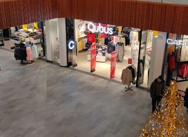 Cubus
