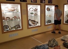 Museum of Minerals and Fossils