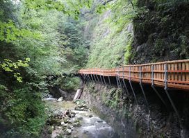 GeoDorf Gams