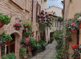 Ricordi Di Assisi