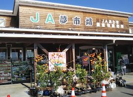 JA Awashi JA Yumeichiba