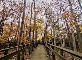 Maumee Bay State Park