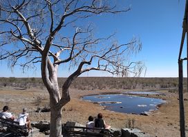 Moringa Waterhole Viewpoint