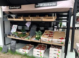 Molskroens Isbod