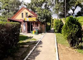 Izvor - Div