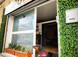 Opuntia Tattoo Studio