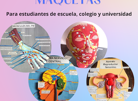 Maquetas Loja